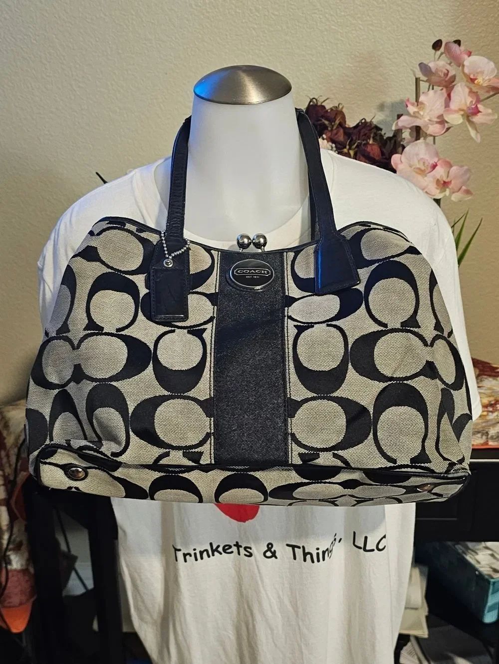 Coach Signature Stripe Satchel Bag